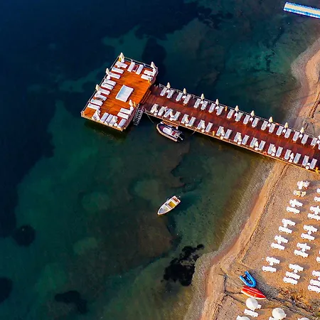 ホテル Cettia (adults Only)