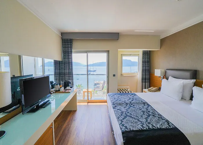 Cettia (adults Only)