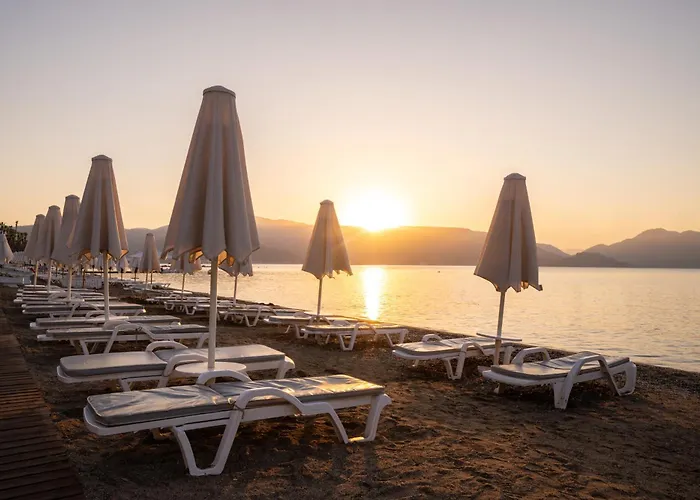 Cettia (adults Only)