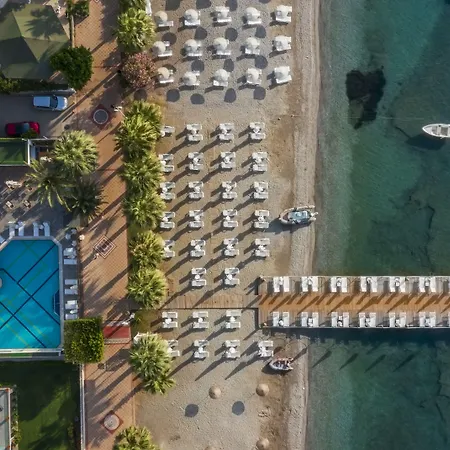 Cettia (adults Only)