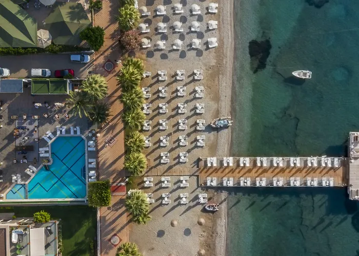 Cettia (adults Only)